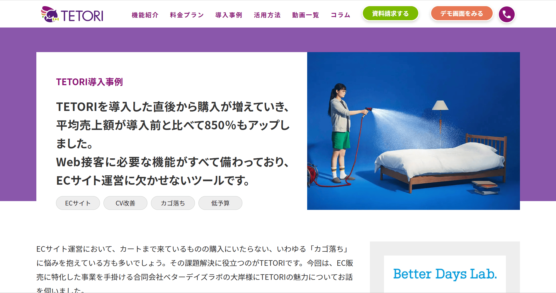 tetori_case2
