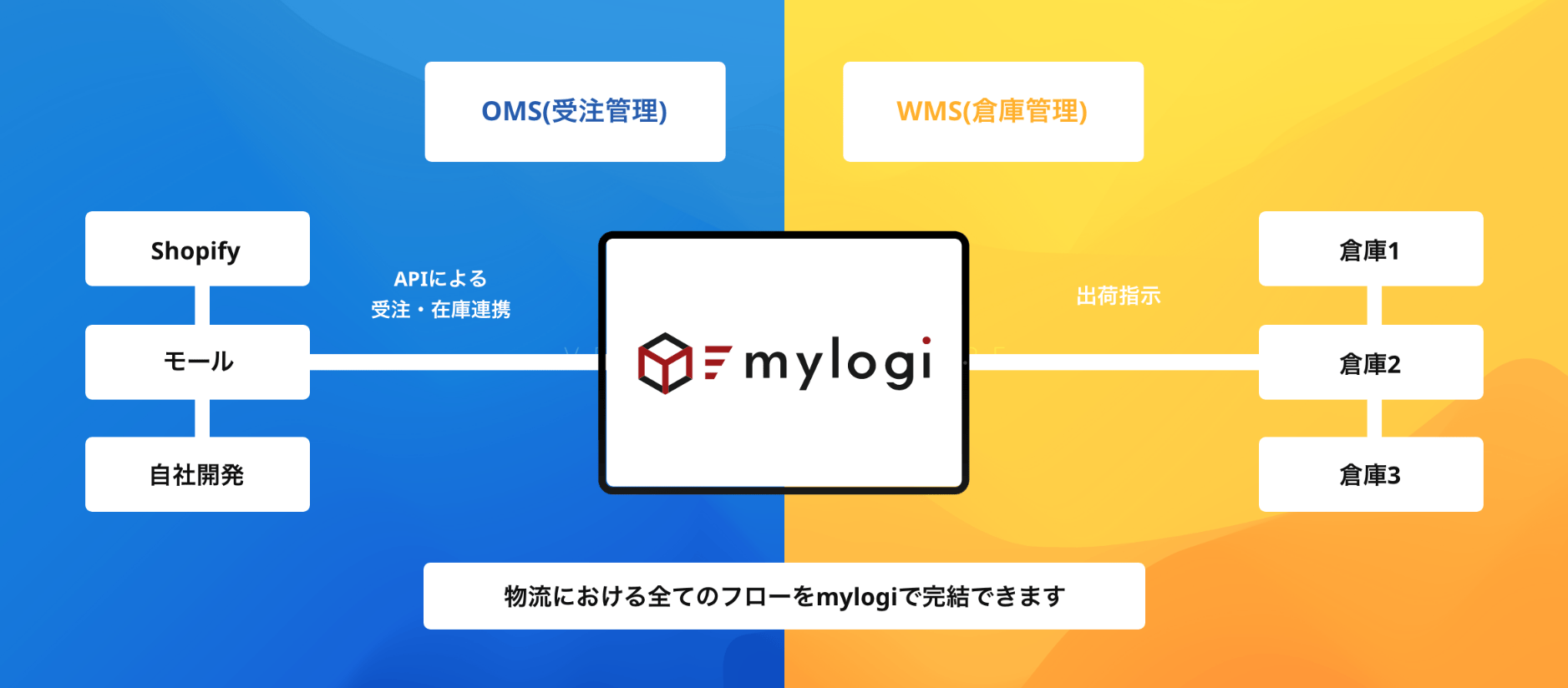 MyL_02