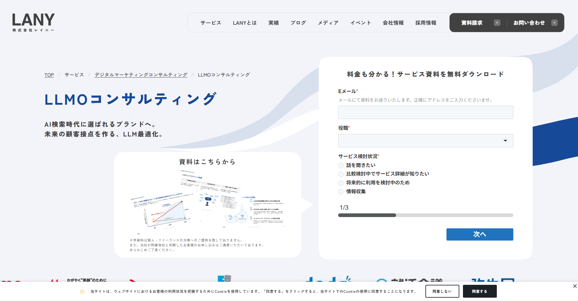 lany-service-digitalmarketing-seo-consulting