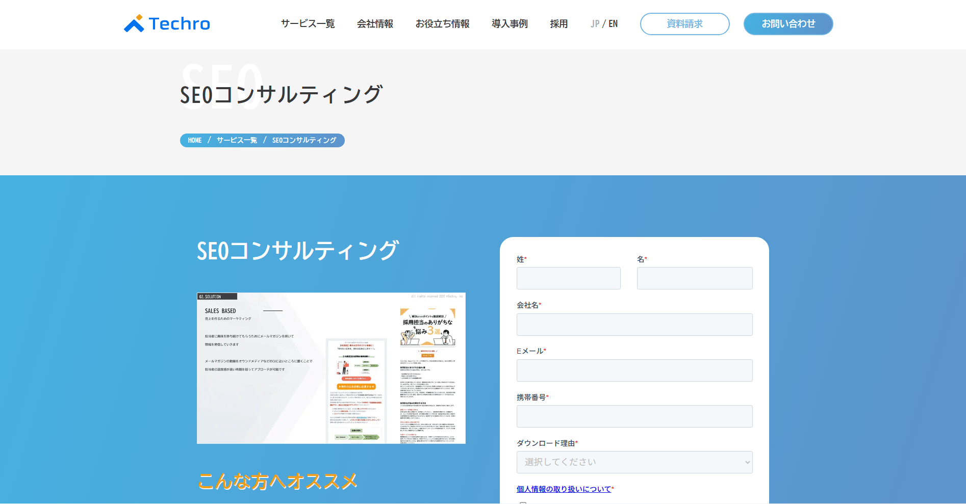 techro-service-seo