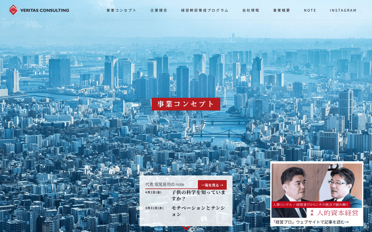 veritas-consulting-co
