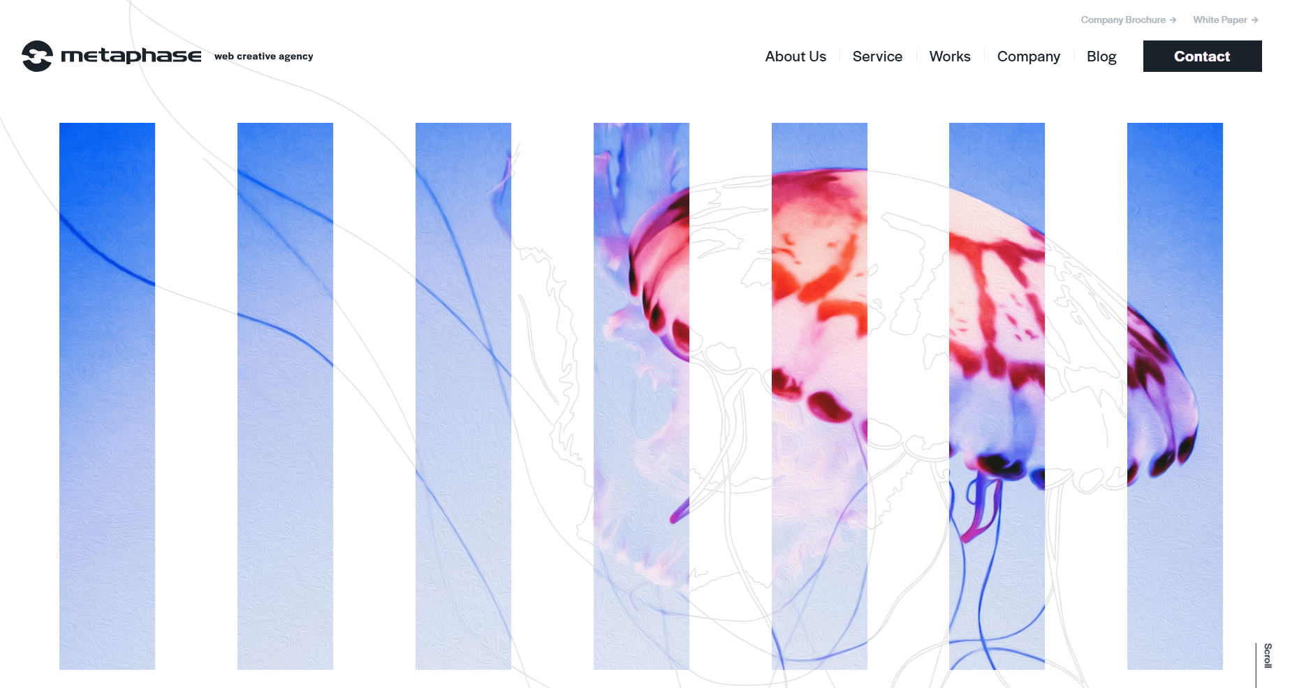 metaphase.co.jp