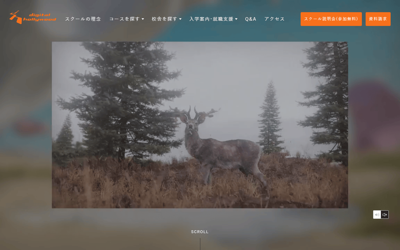 株式会社デジタルハリウッド 公式サイト