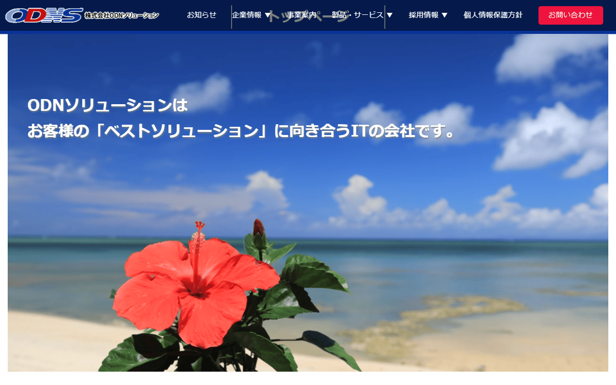 株式会社ODNソリューション 公式サイト