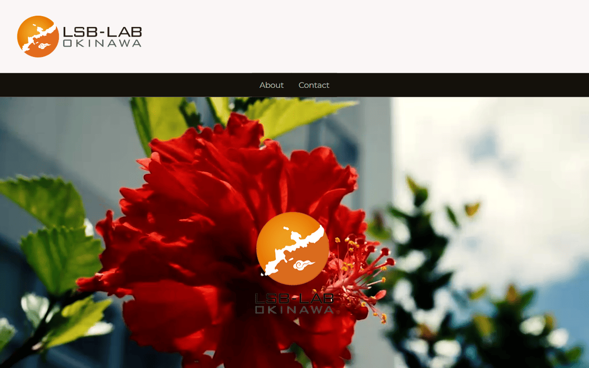 株式会社LSB-Lab沖縄 公式サイト