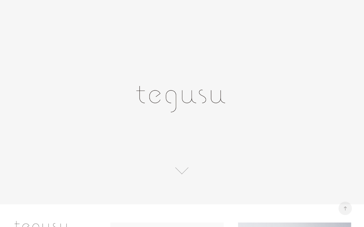 株式会社tegusu 公式サイト 株式会社tegusu 公式サイト