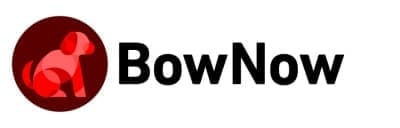 BowNow ロゴ