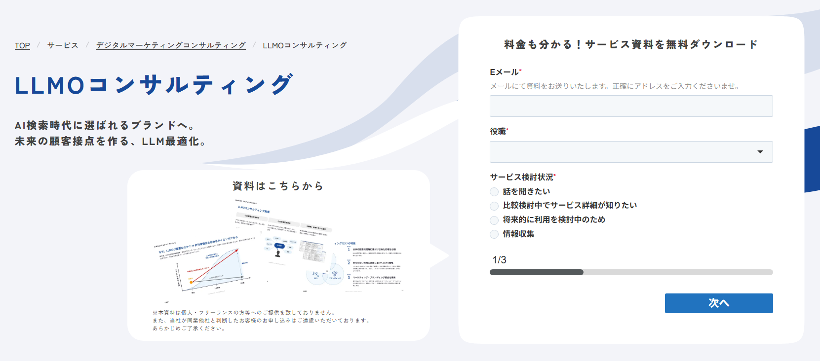 lany-service-digitalmarketing-llmo