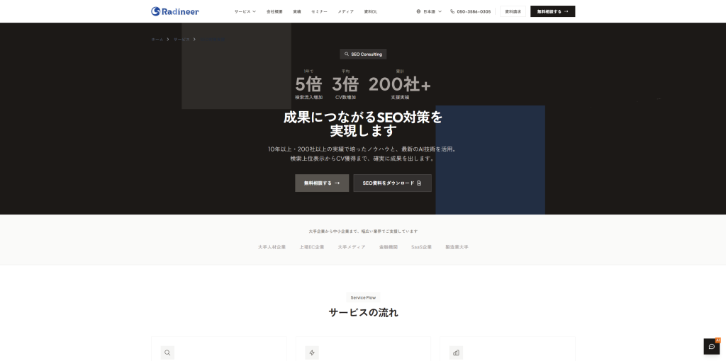 radineer-asia-services-seo radineer-asia-services-seo