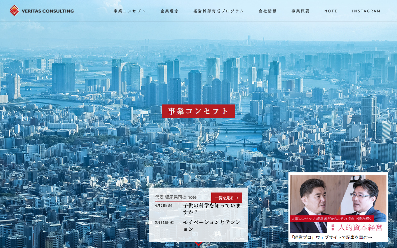 veritas-consulting-co