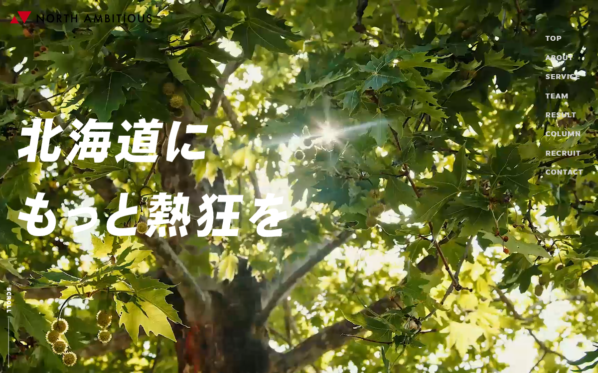 株式会社ノースアンビシャス(NORTH AMBITIOUS) 公式サイト 株式会社ノースアンビシャス(NORTH AMBITIOUS) 公式サイト